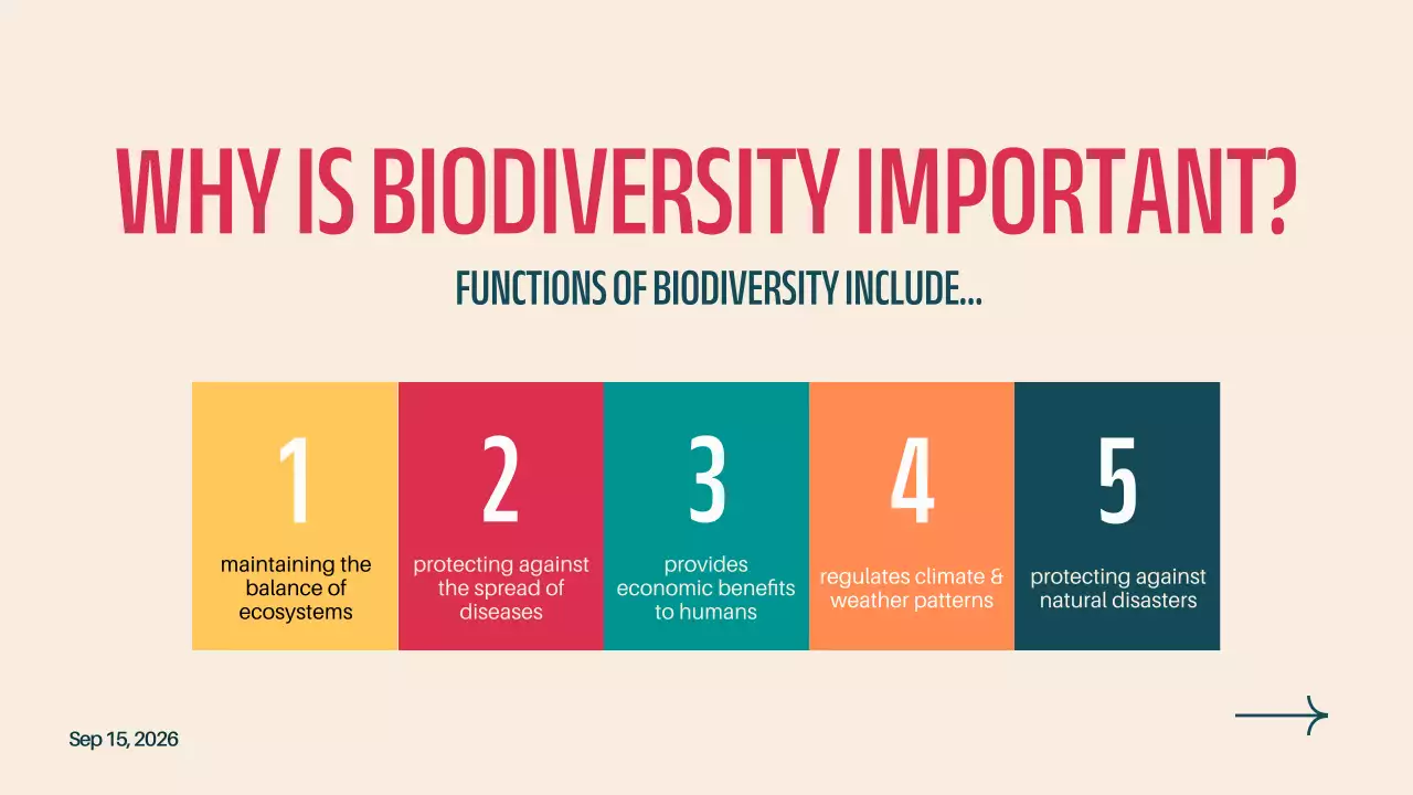 Beige Minimal Ecosystem Guide Presentation
