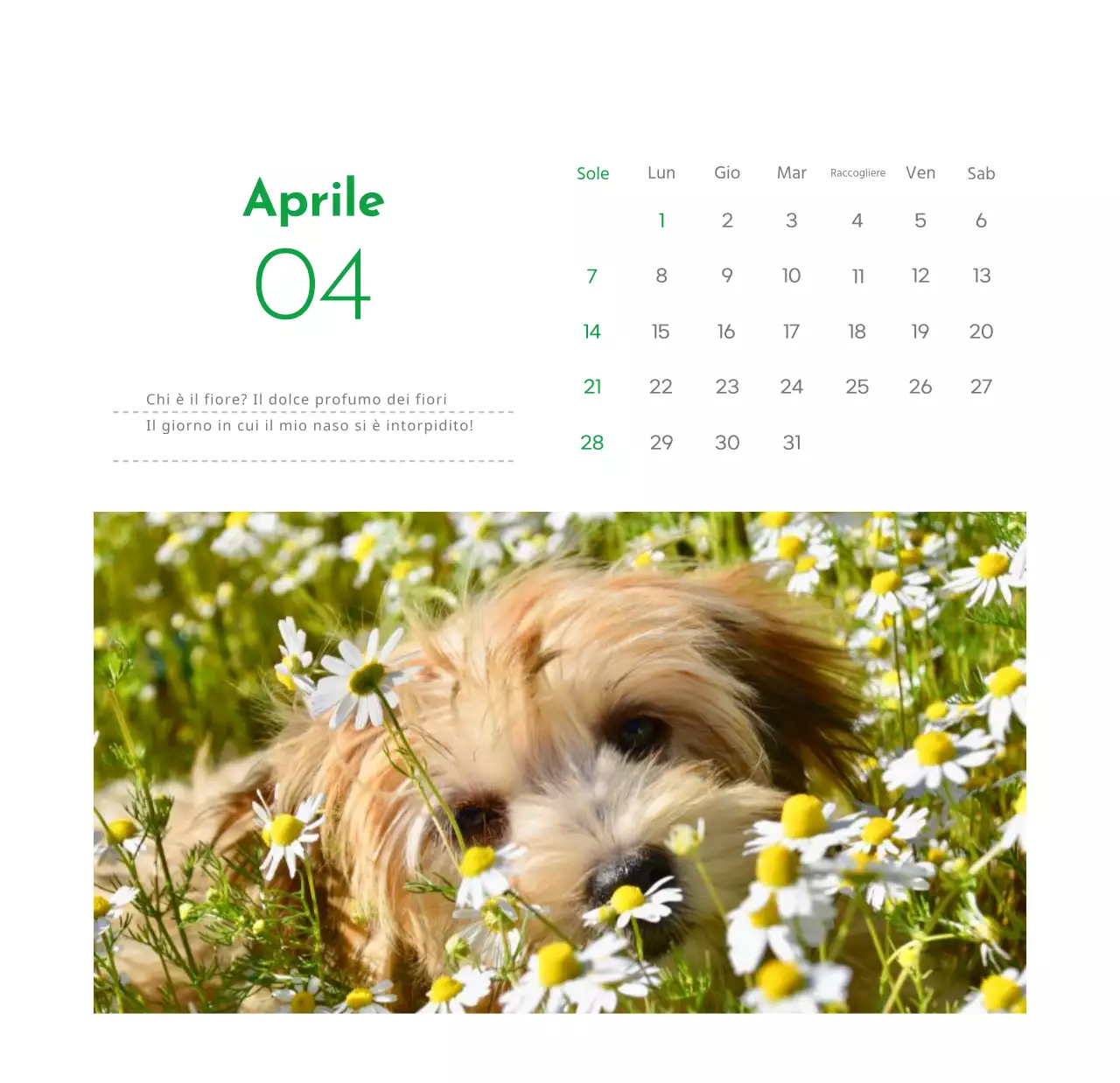 Un calendario con la foto di un cucciolo e un simpatico messaggio in colore verde.