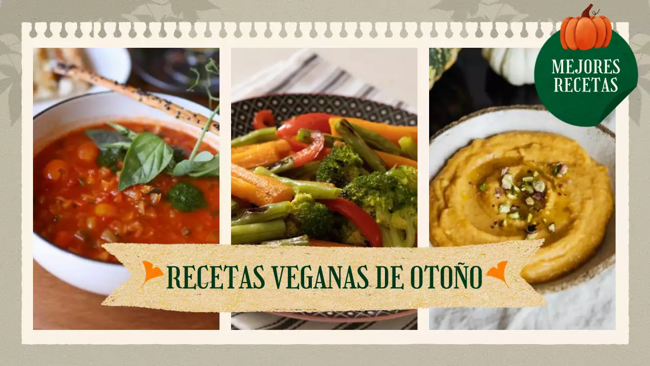 Recetas veganas otoñales en tonos caqui y marrones