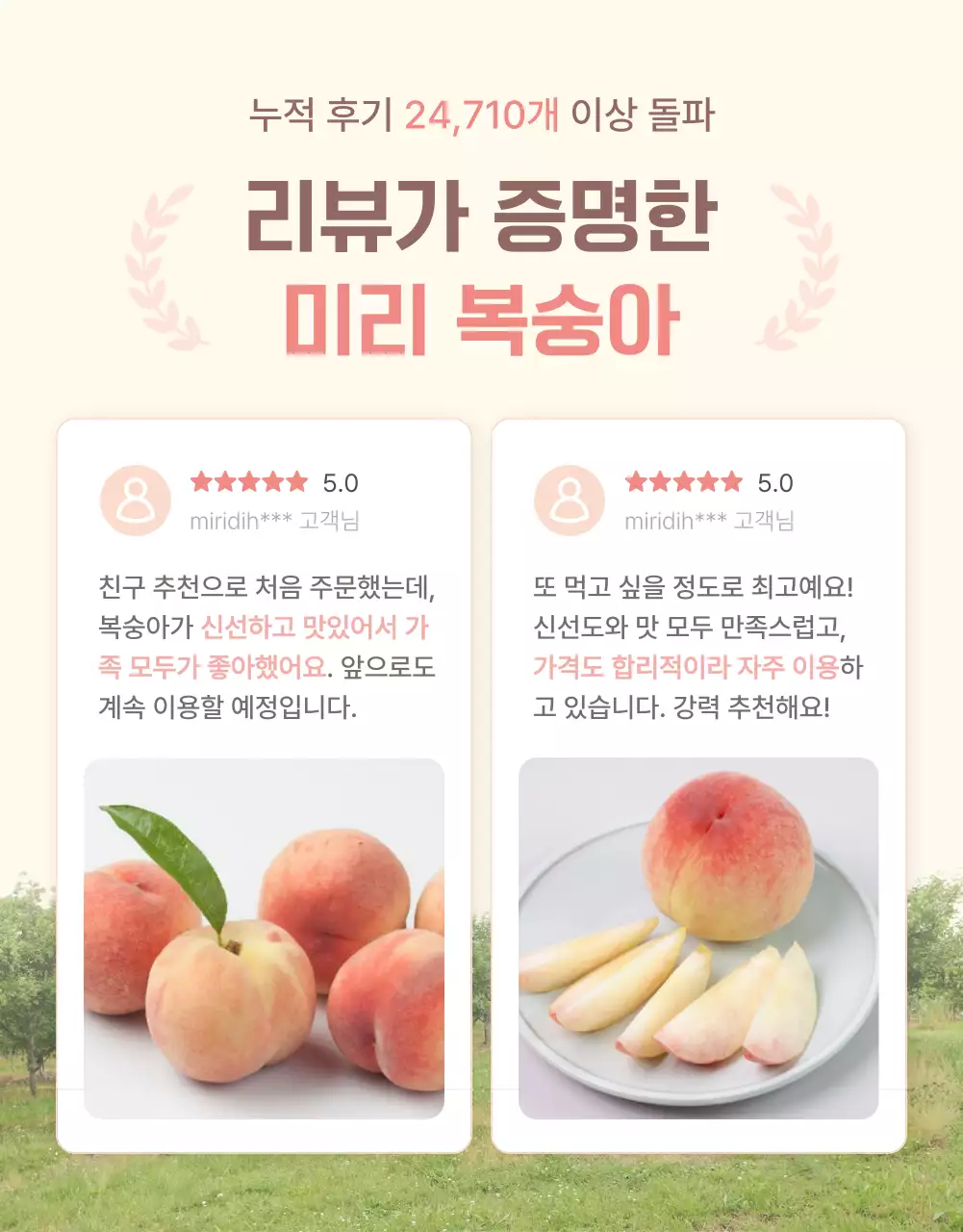 노랑과 핑크색의 깔끔한 상큼한 복숭아 리뷰와 이벤트 홍보