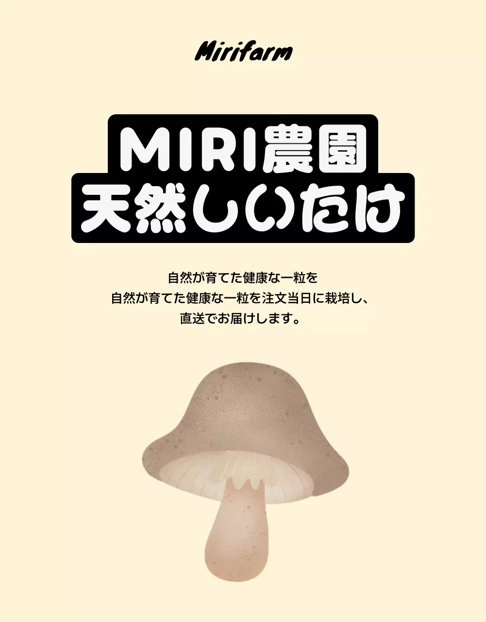 アイボリー シンプル しいたけ 広告 詳細ページ