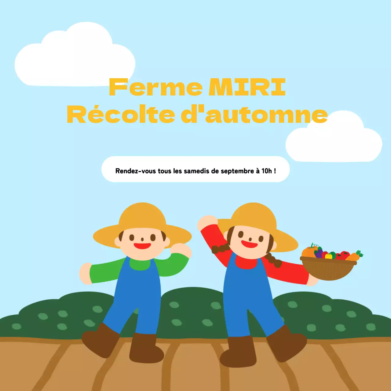 Informations sur la récolte des beaux bleus et jaunes de l'automne