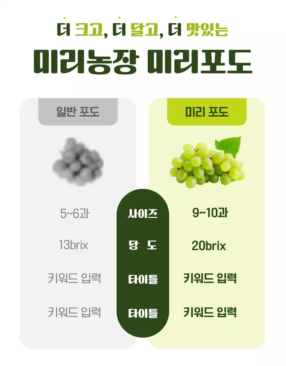 연두의 심플한 제철과일 포도 홍보