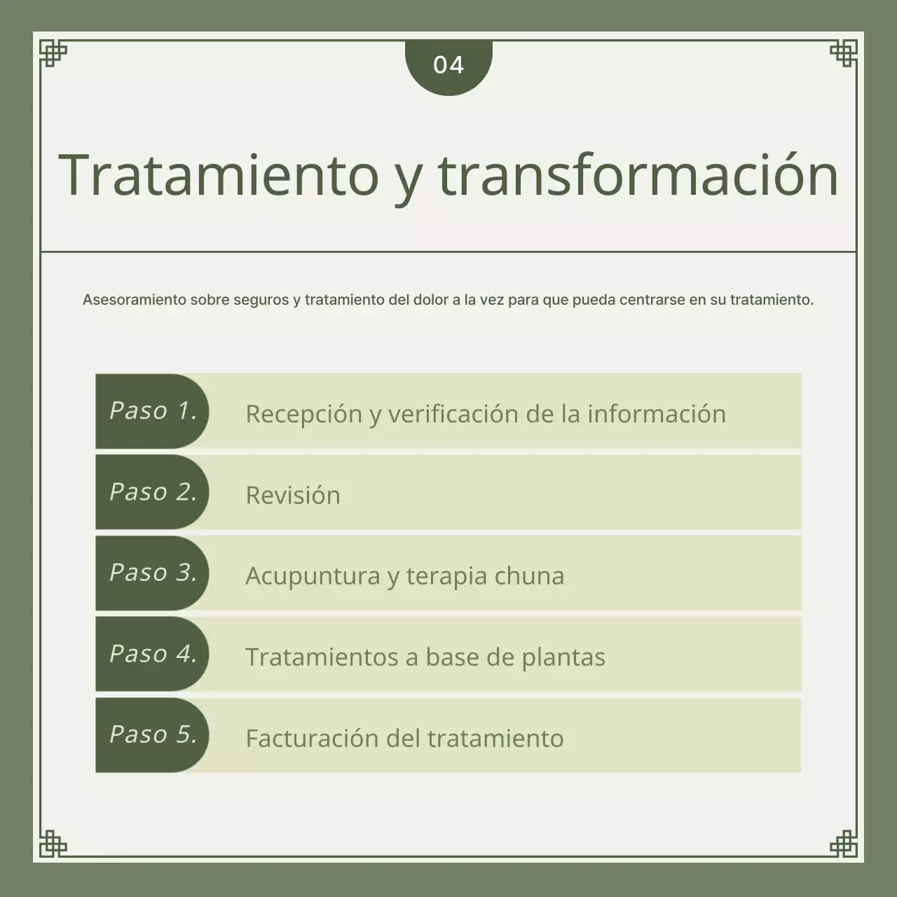 Guía de soluciones herbales para accidentes de coche minimalistas en caqui y verde lima