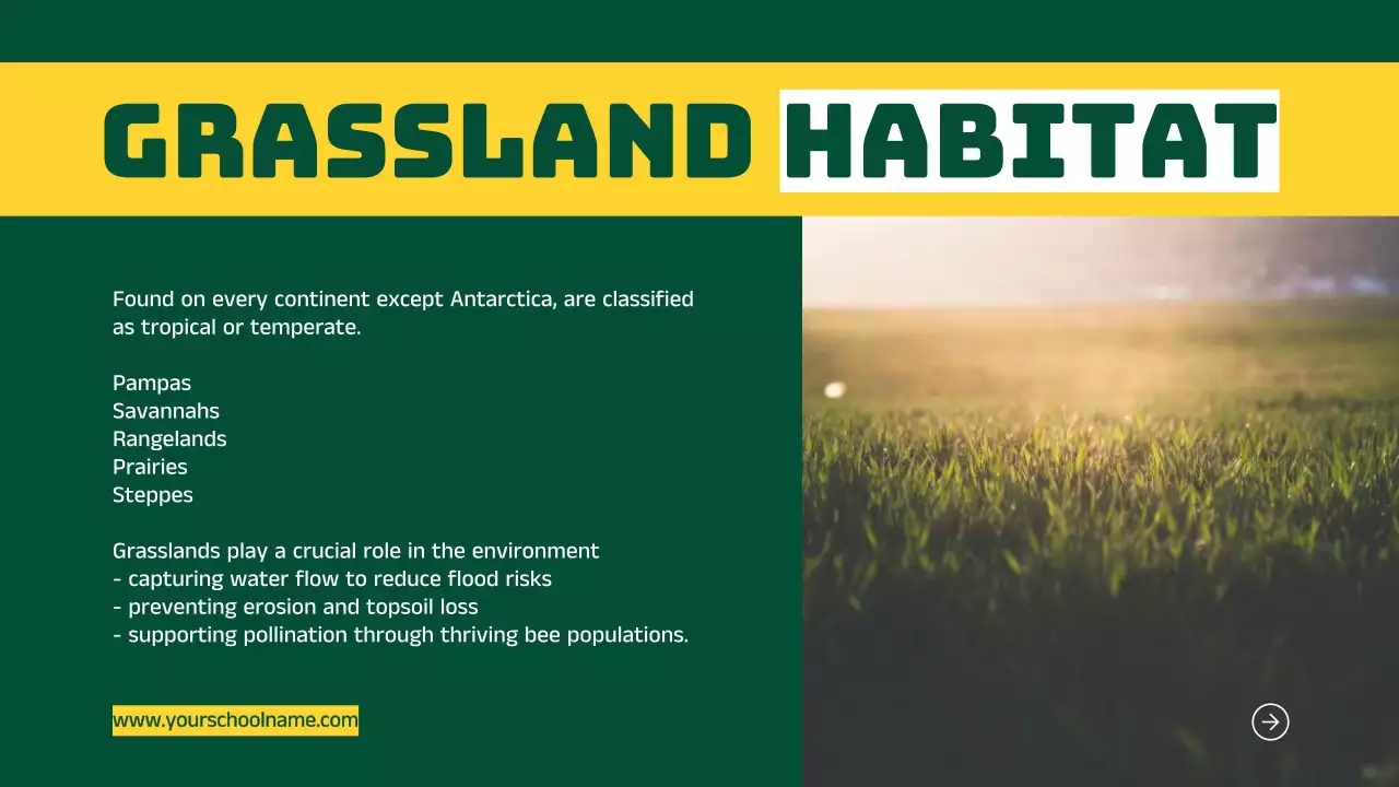 Blue Modern Animal Guide Presentation