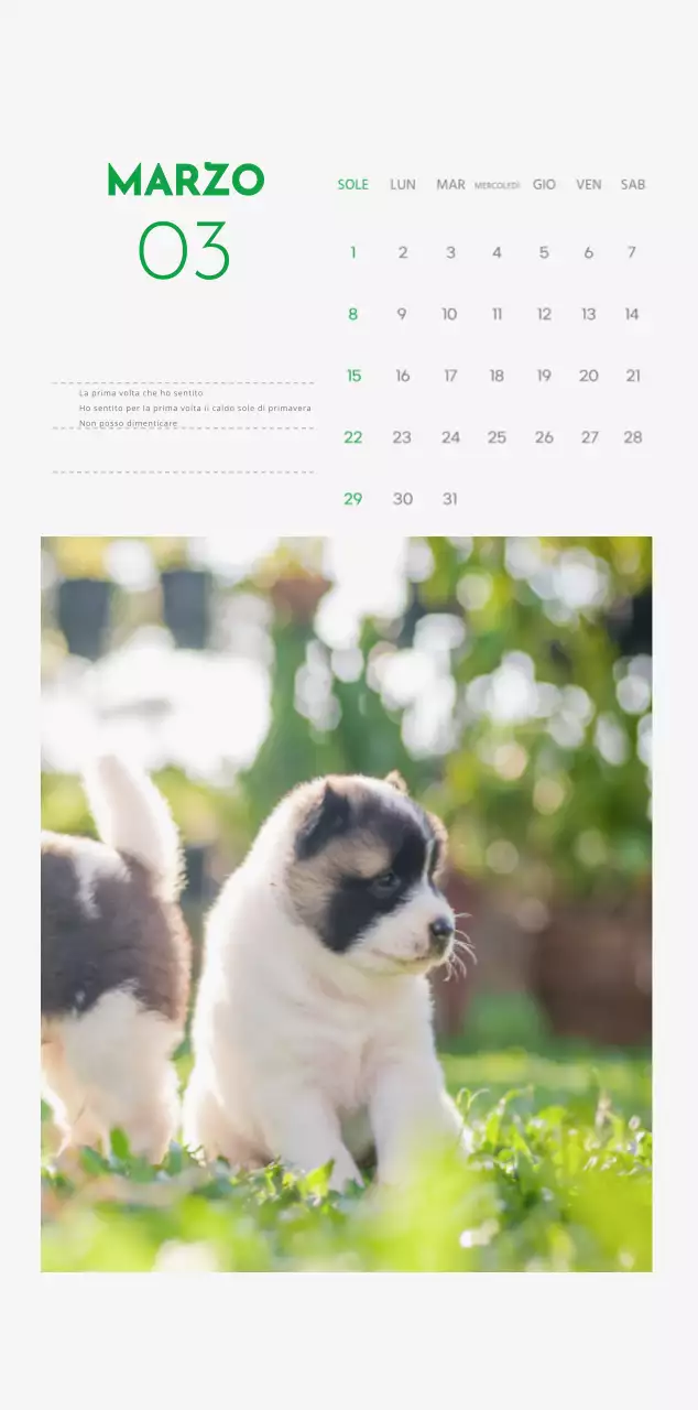 Un calendario con la foto di un cucciolo e un simpatico messaggio in colore verde.