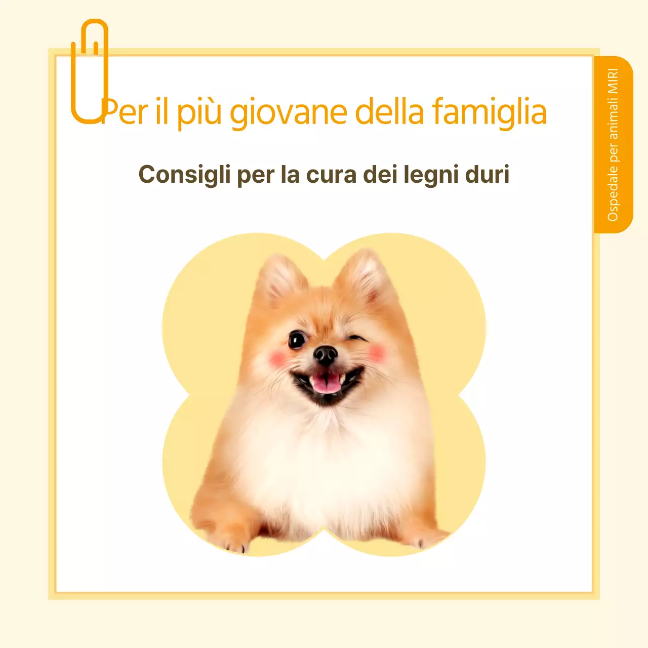 Informazioni sulla salute degli animali domestici in stile note gialle e bianche