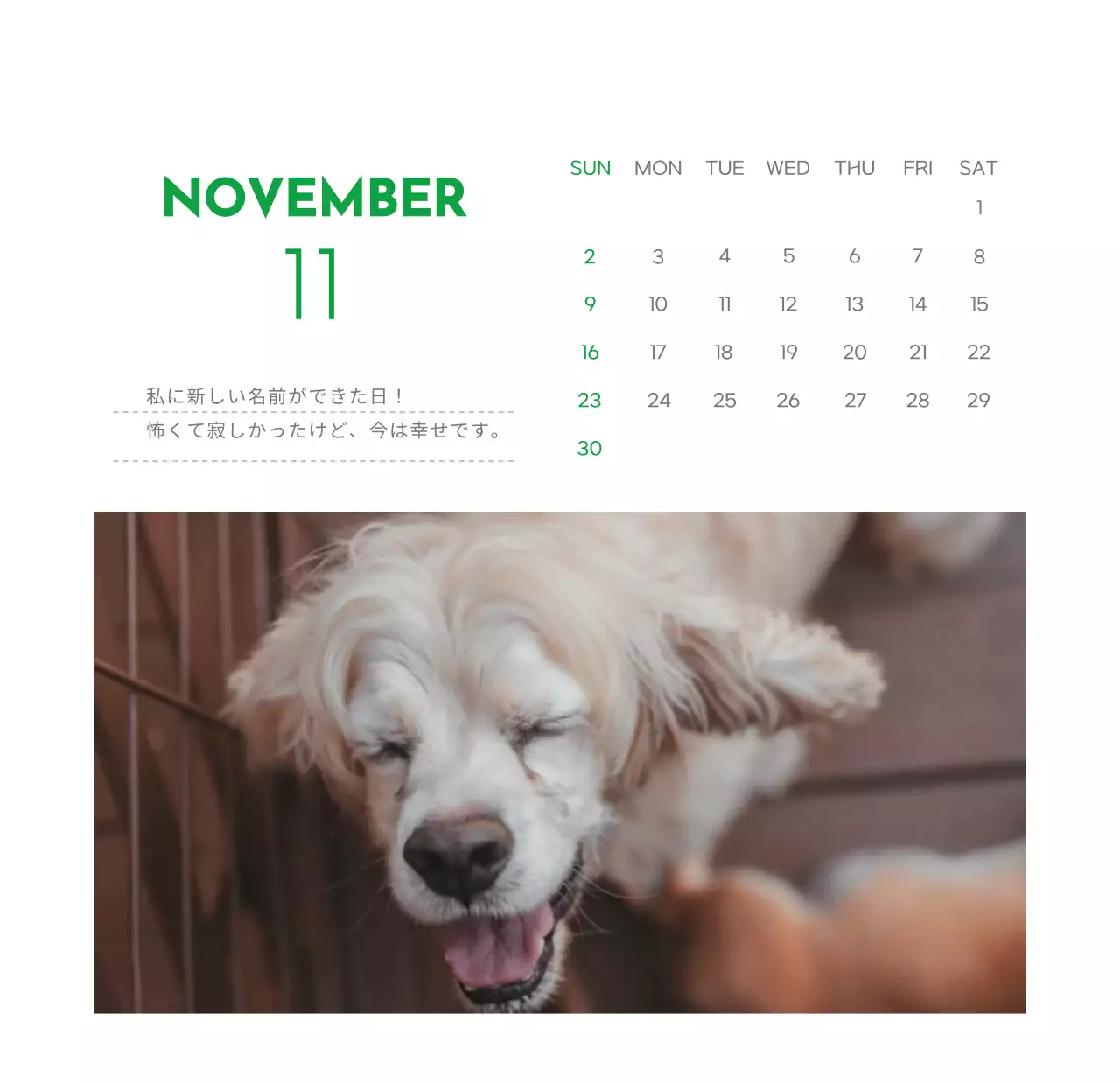 緑色のポイントカラーに子犬の写真とかわいいメッセージの入ったカレンダー