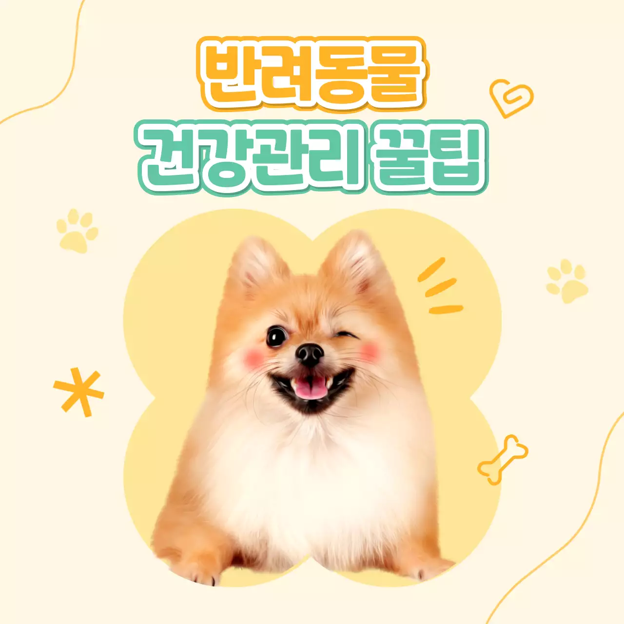 노랑과 흰색의 아기자기한 스타일 반려동물 건강관리 정보