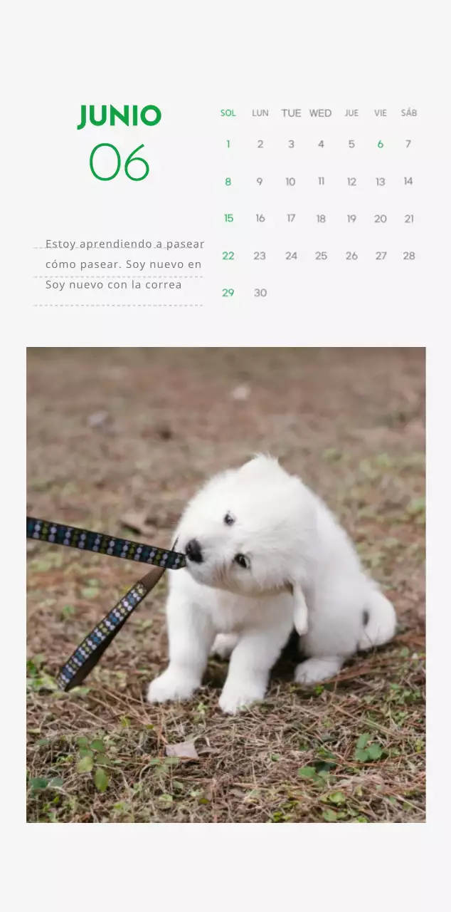 Un calendario con una foto de un cachorro y un bonito mensaje en color verde