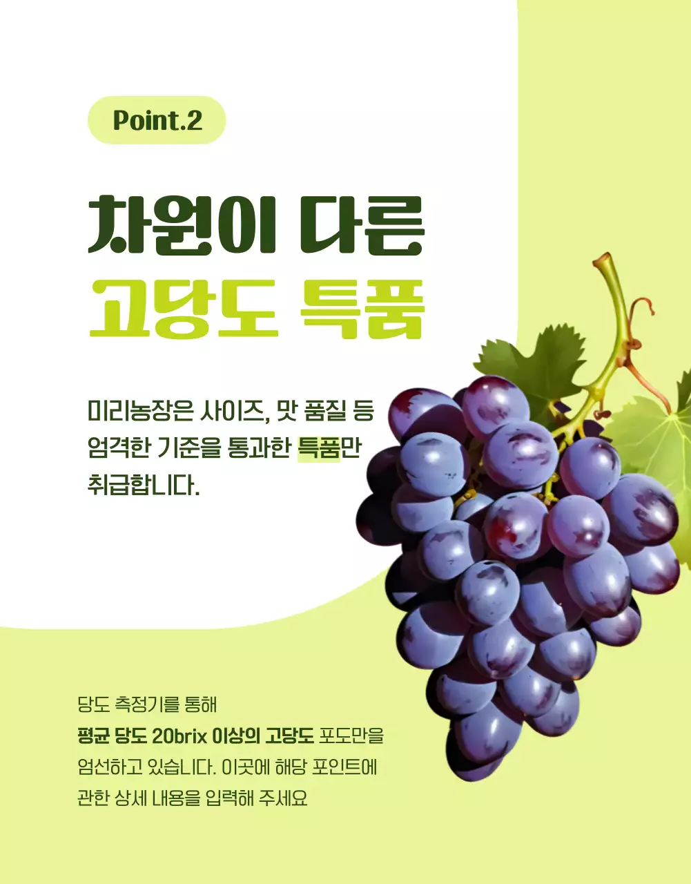 연두의 심플한 제철과일 포도 홍보