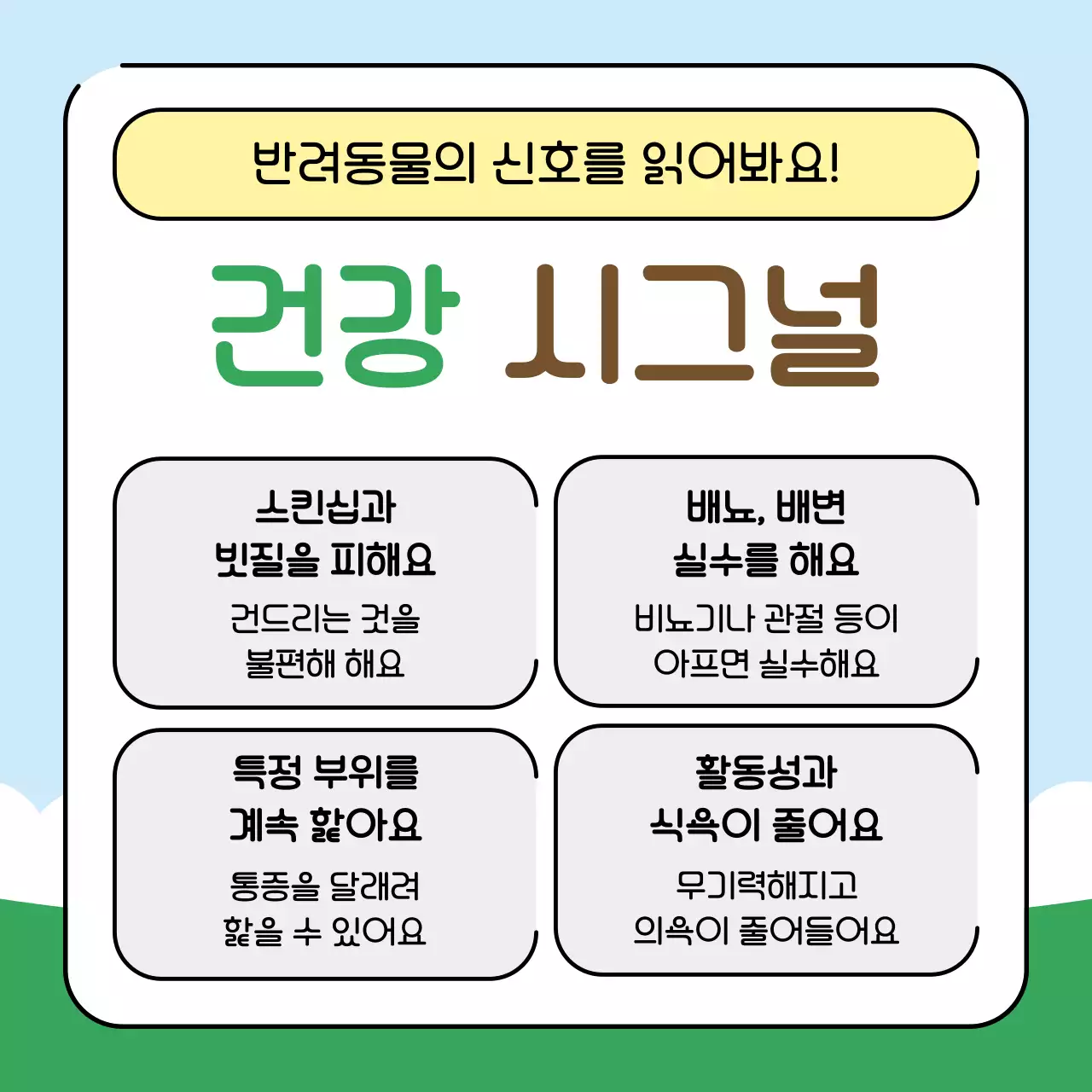 초록색과 하늘색의 아기자기한 반려동물 건강관리꿀팁 교육자료