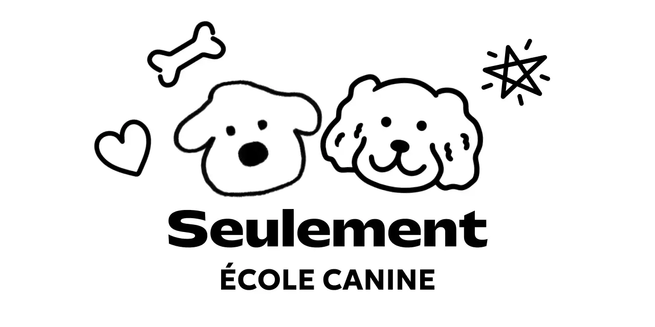 Faites la promotion de votre école de chiots