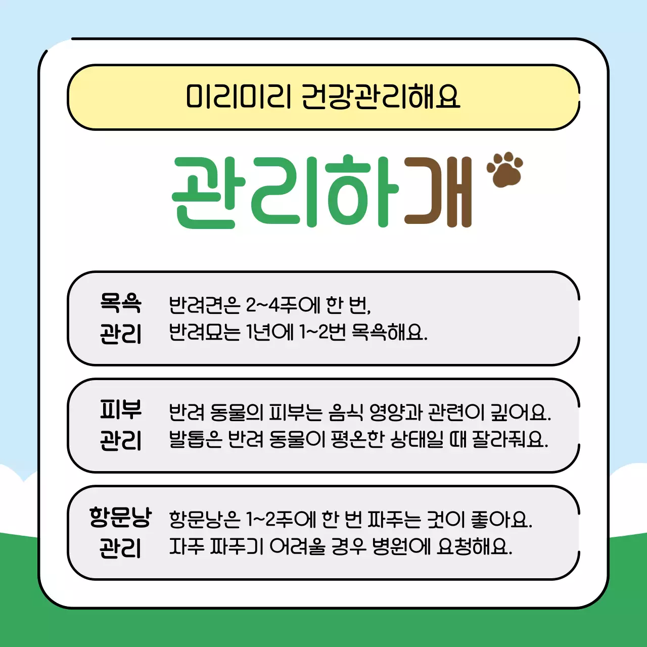 초록색과 하늘색의 아기자기한 반려동물 건강관리꿀팁 교육자료