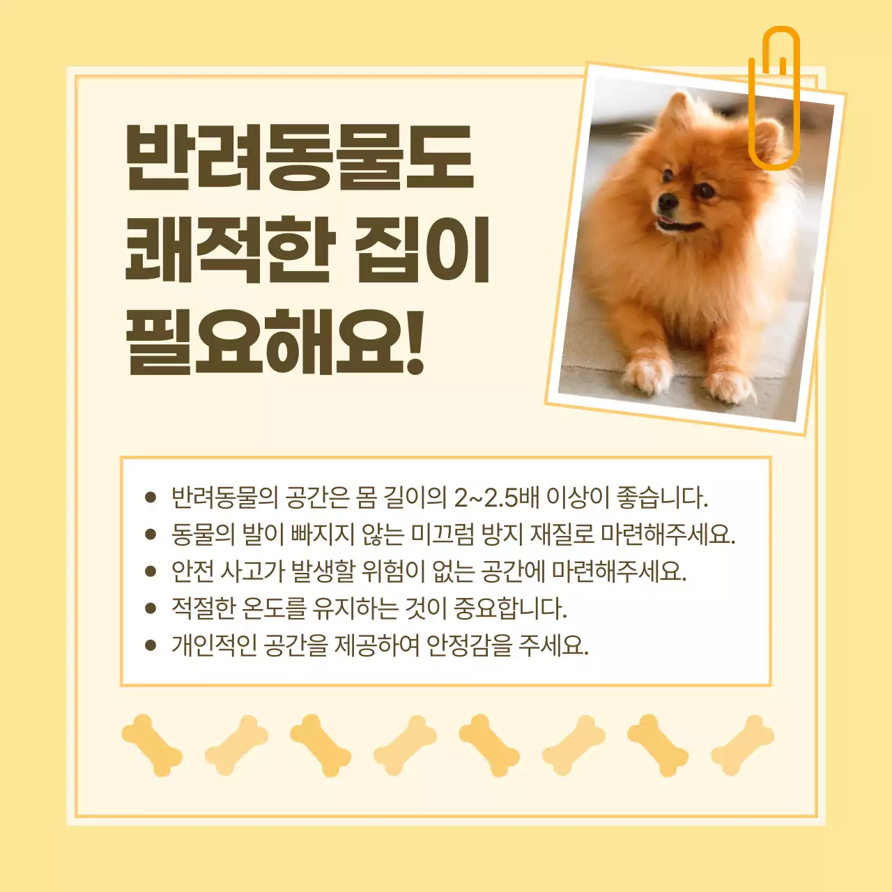 노랑과 흰색의 노트 스타일 반려동물 건강관리 정보