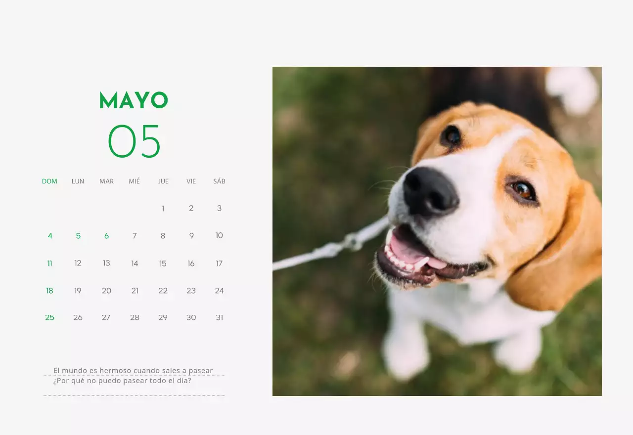 Un calendario con una foto de un cachorro y un bonito mensaje en color verde