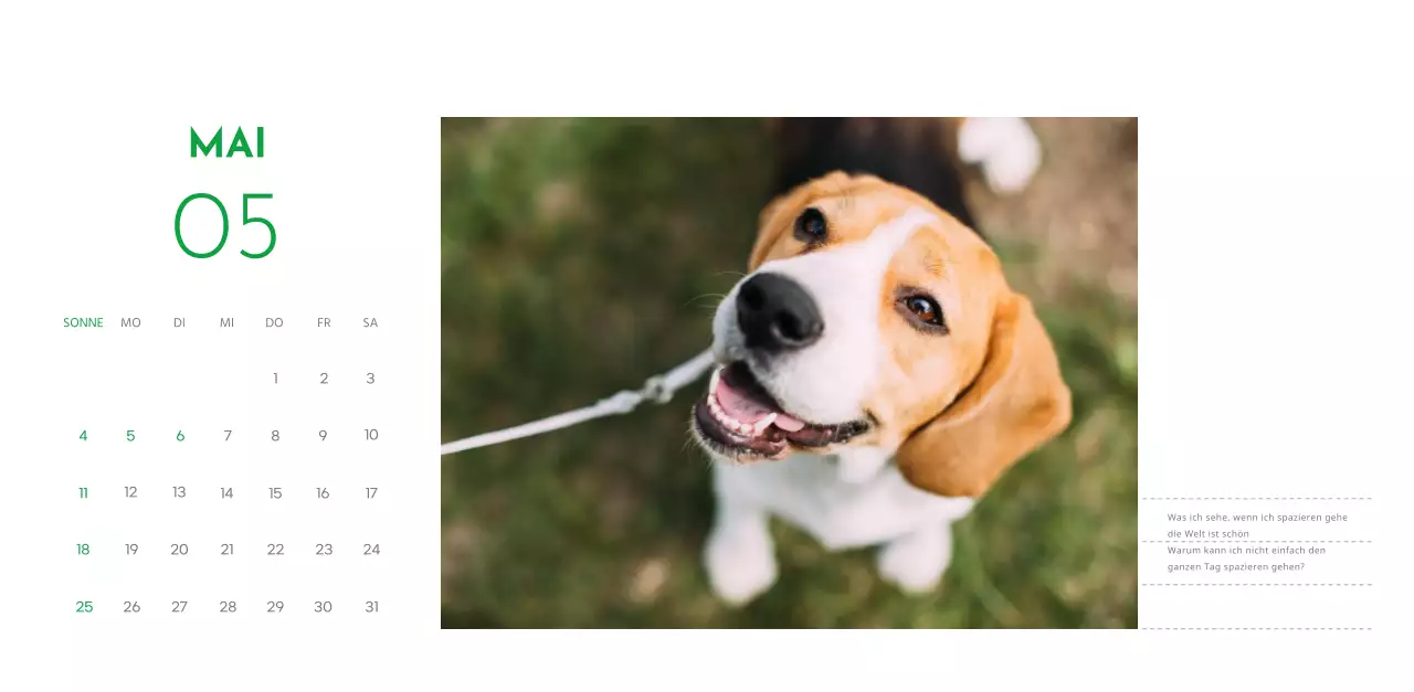 Ein Kalender mit einem Welpenfoto und einer süßen Botschaft in grüner Akzentfarbe
