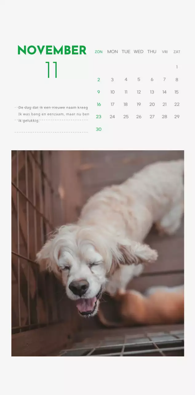 Een kalender met een puppyfoto en een schattige boodschap in groene accentkleur