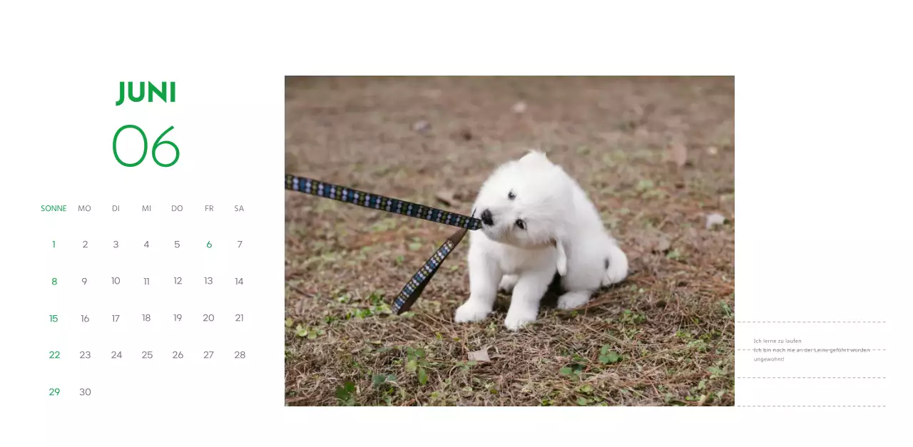 Ein Kalender mit einem Welpenfoto und einer süßen Botschaft in grüner Akzentfarbe