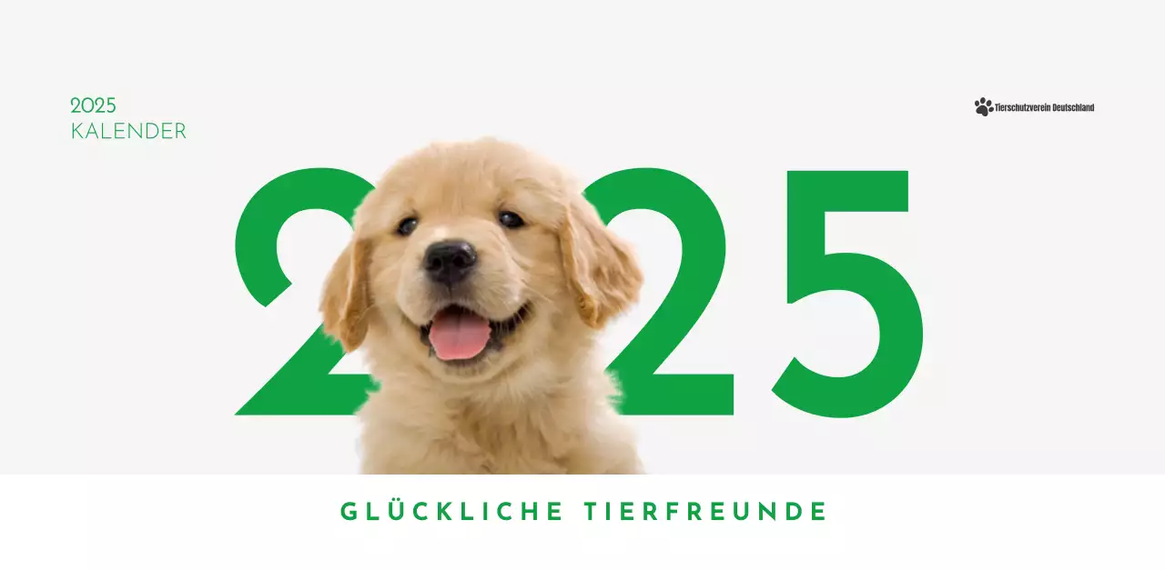 Ein Kalender mit einem Welpenfoto und einer süßen Botschaft in grüner Akzentfarbe