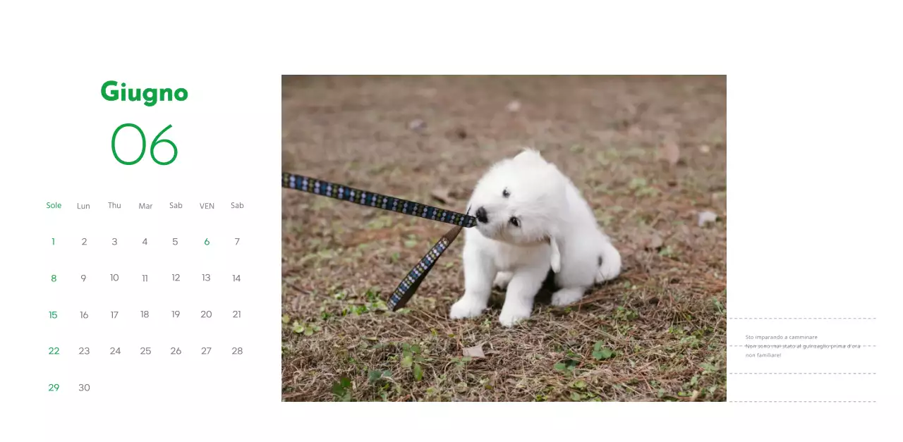 Un calendario con la foto di un cucciolo e un simpatico messaggio in colore verde.