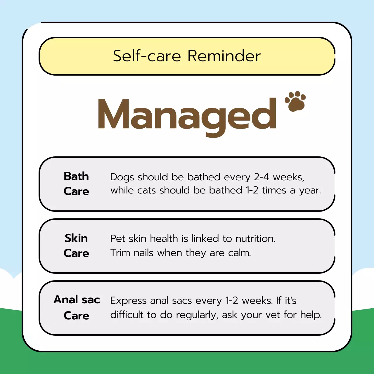 Green Simple Pet Guide Instagram Carousel