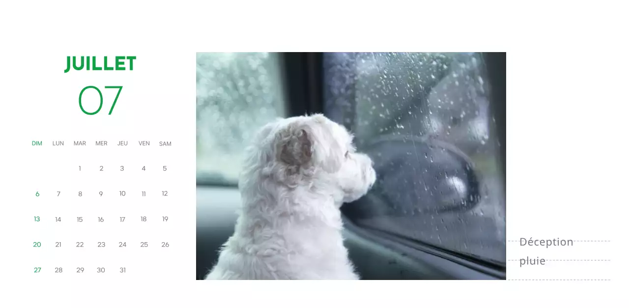 Un calendrier avec une photo de chiot et un message mignon dans une couleur verte.