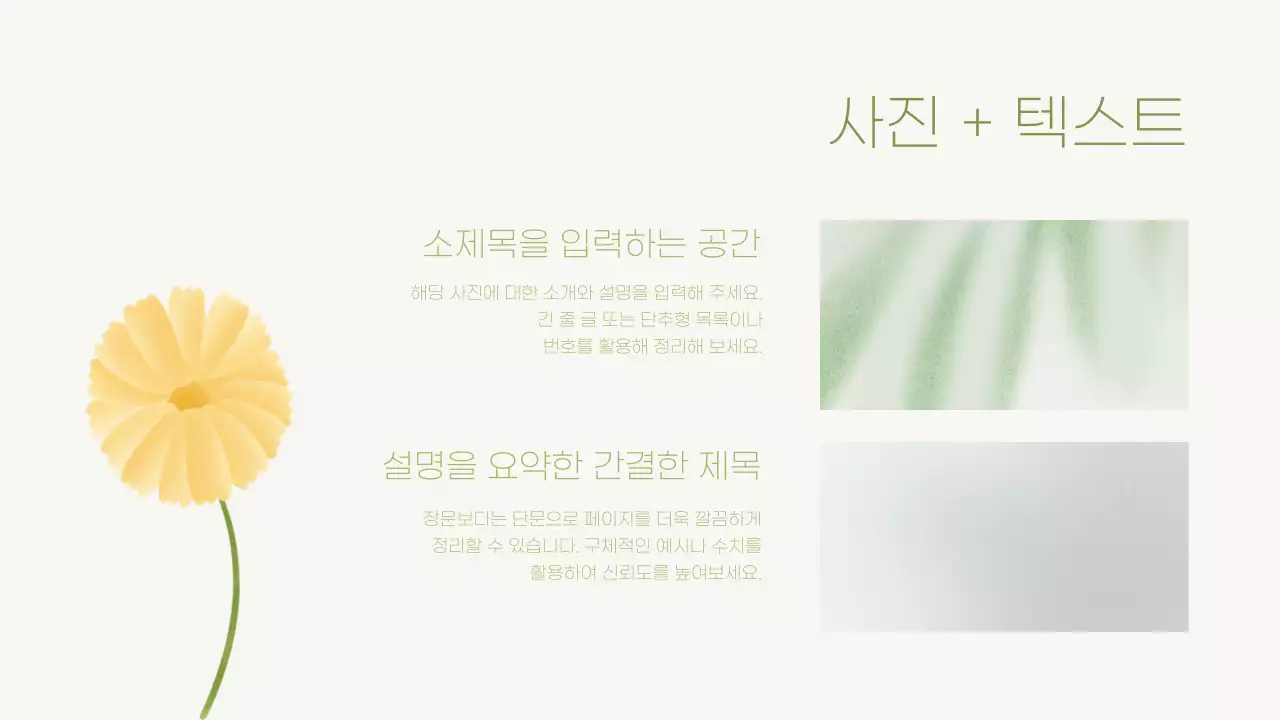 핑크색과 노랑의 깔끔한 꽃 활용 발표자료