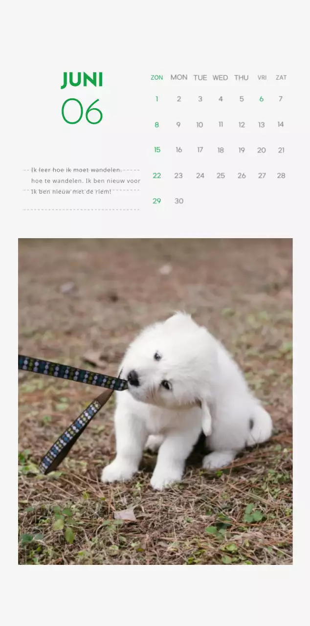 Een kalender met een puppyfoto en een schattige boodschap in groene accentkleur