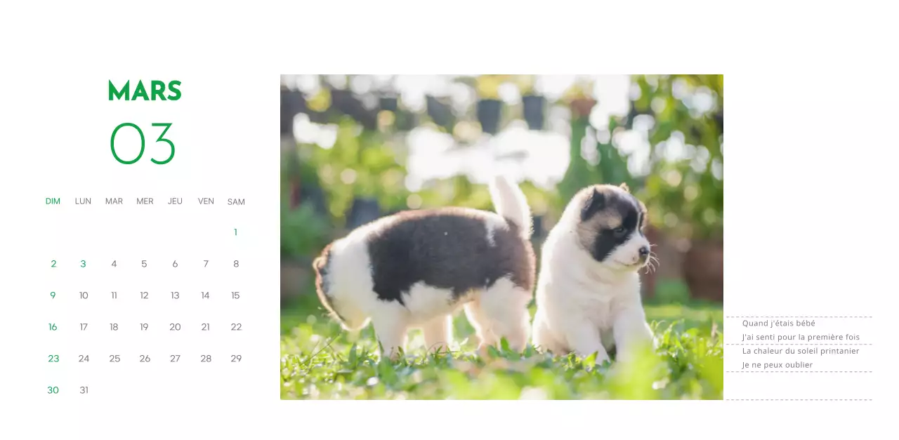 Un calendrier avec une photo de chiot et un message mignon dans une couleur verte.