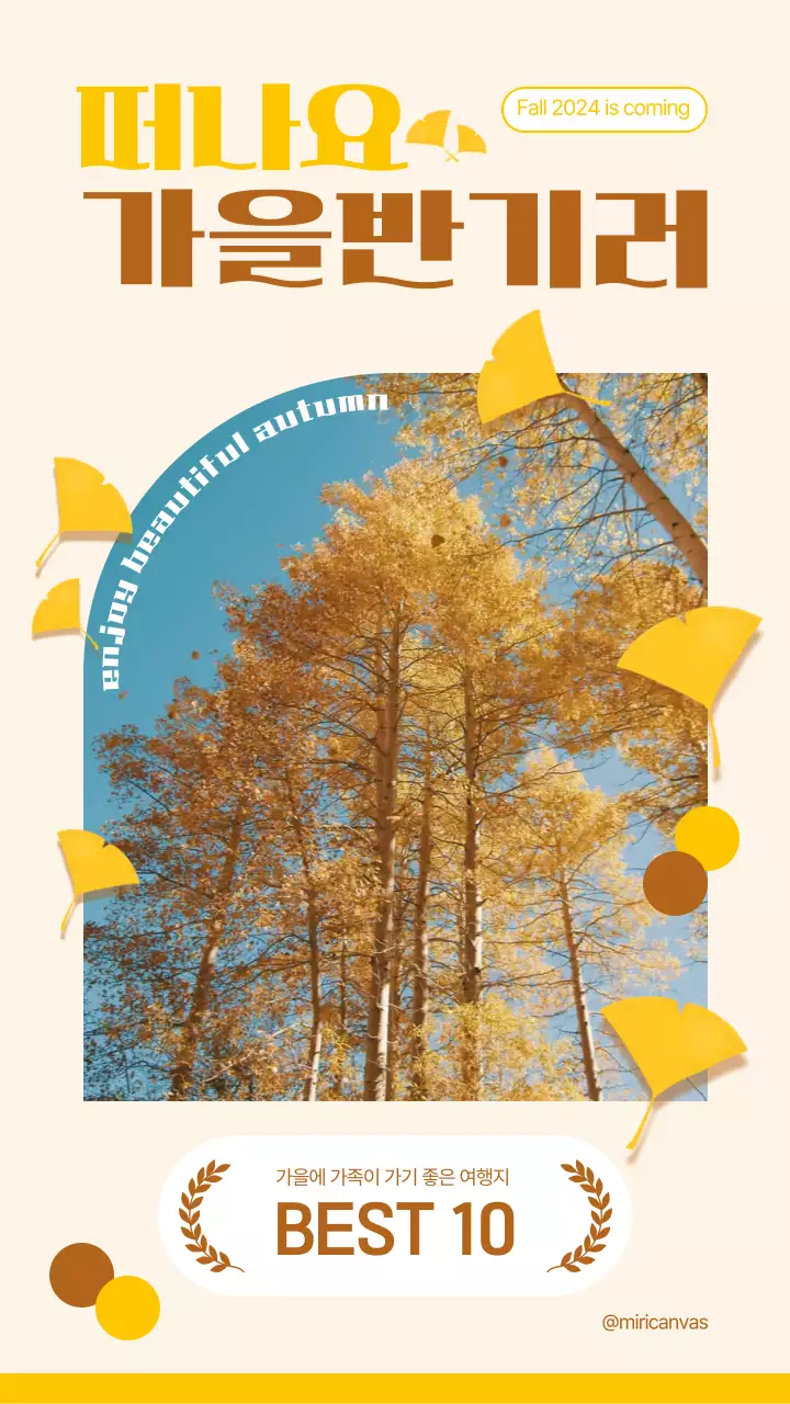 노랑과 갈색의 심플한 가을 여행지 추천 동영상