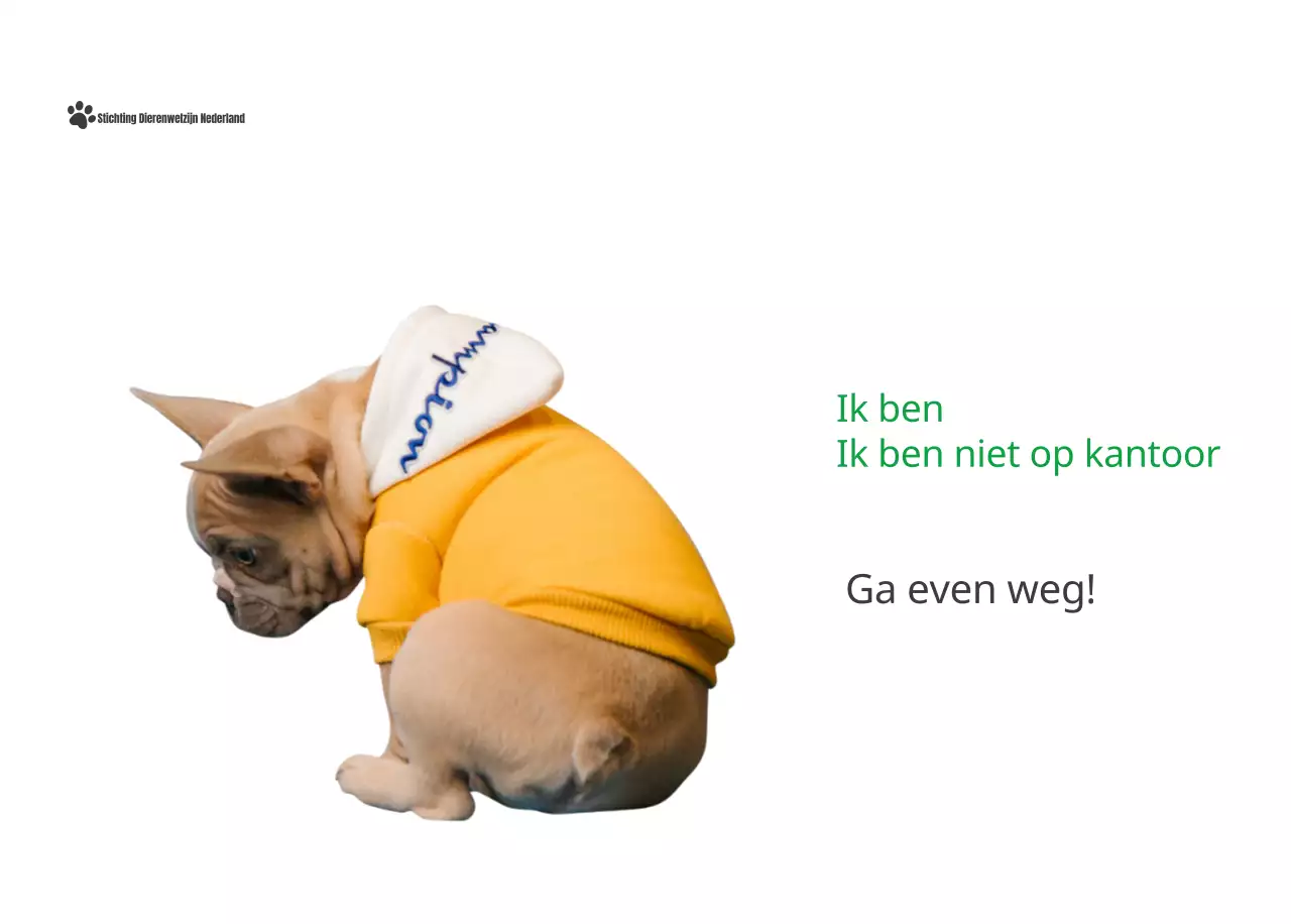 Een kalender met een puppyfoto en een schattige boodschap in groene accentkleur