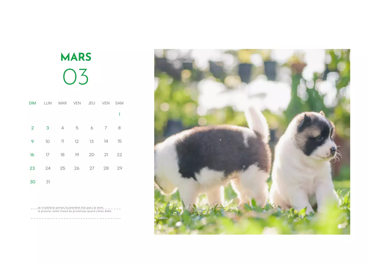 Un calendrier avec une photo de chiot et un message mignon dans une couleur verte.