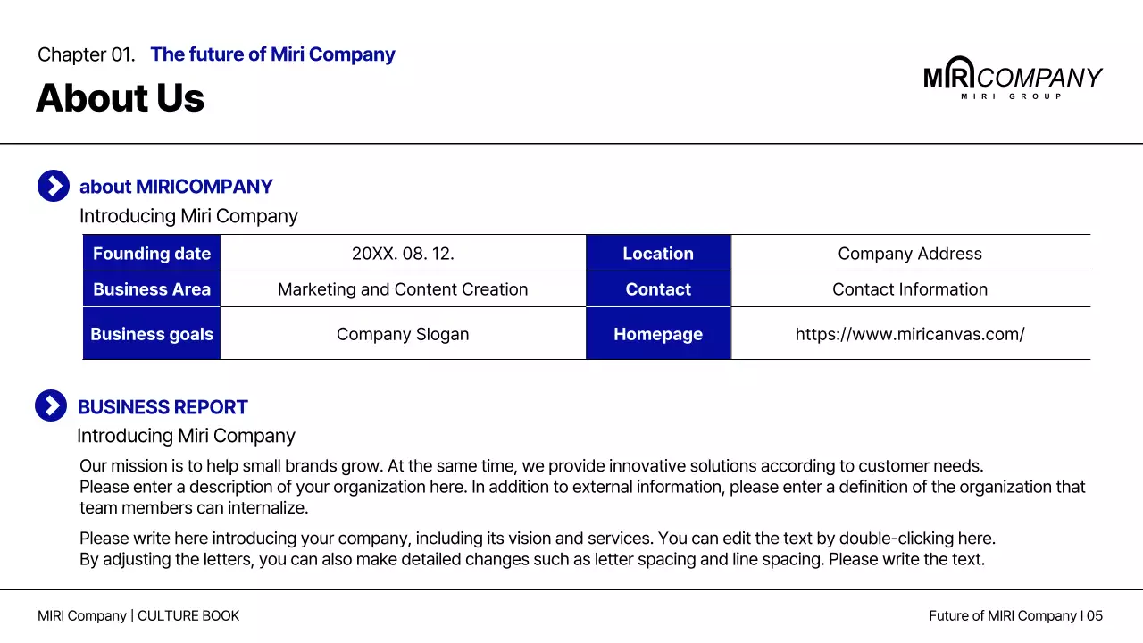 Blue Professional Company Guide Presentation