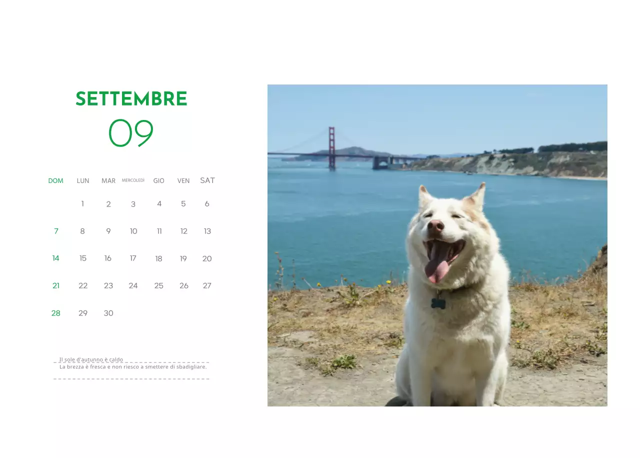 Un calendario con la foto di un cucciolo e un simpatico messaggio in colore verde.