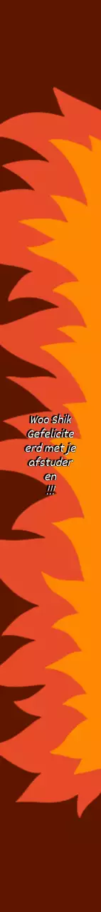 Afstudeerfeest sjerp met passie