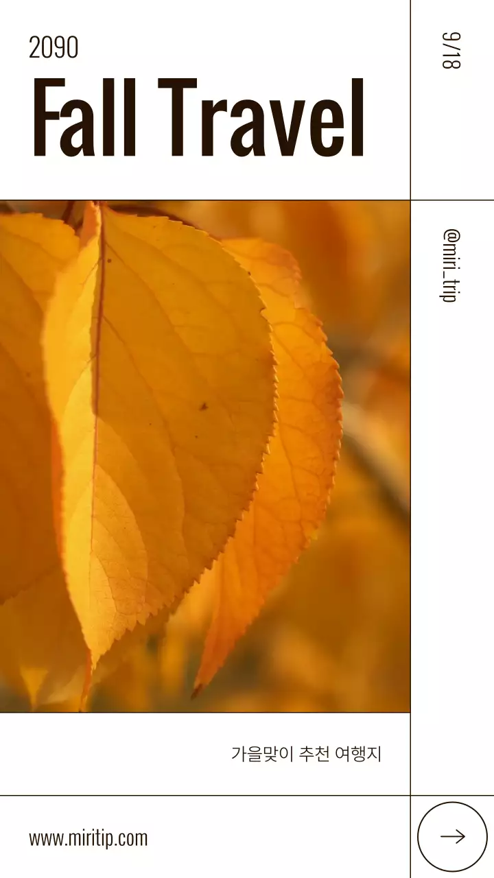 갈색과 흰색의 미니멀한 가을 단풍 여행 동영상