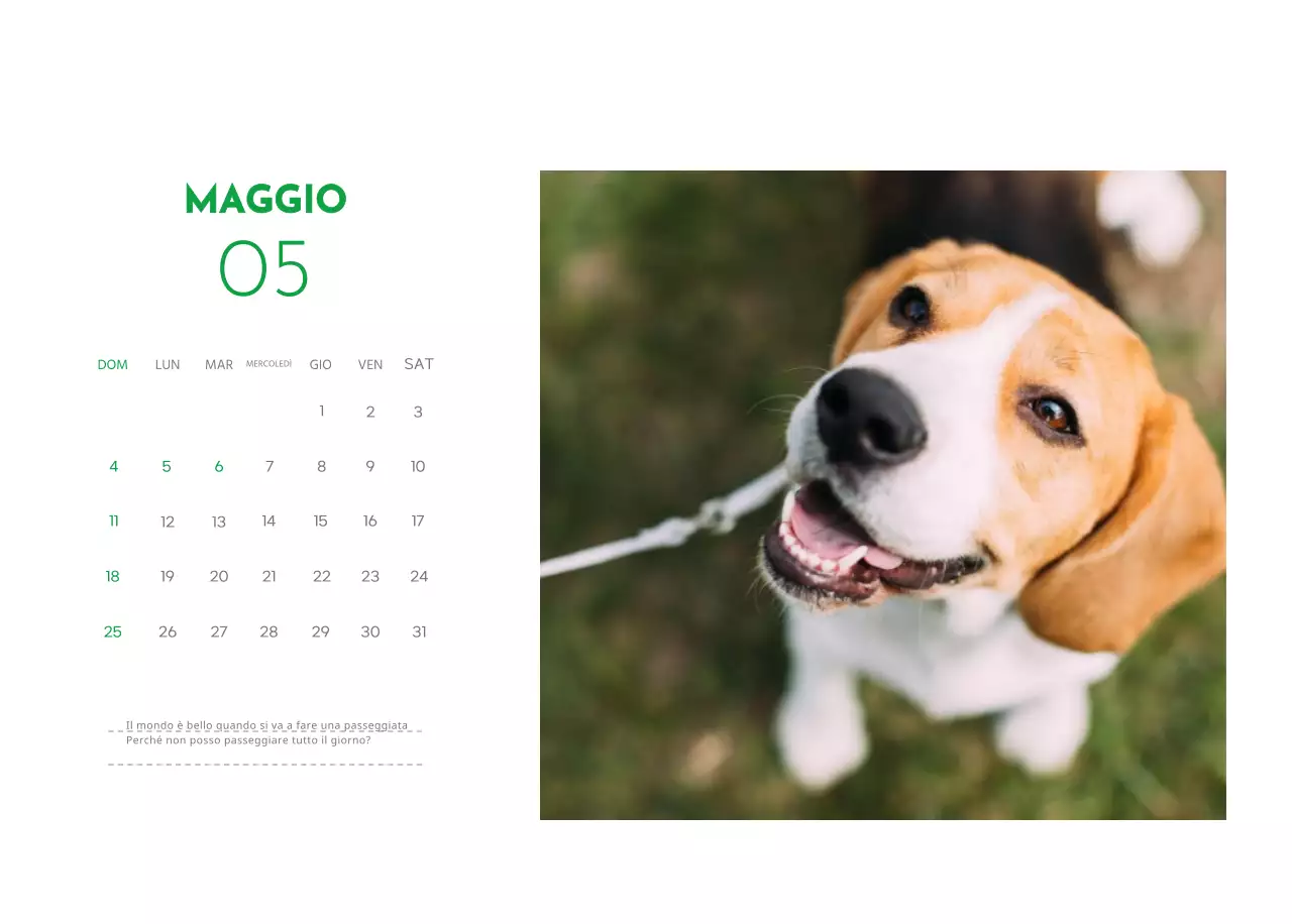 Un calendario con la foto di un cucciolo e un simpatico messaggio in colore verde.