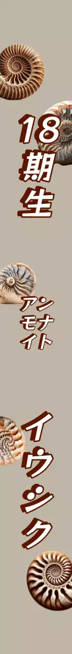 アンモナイト化石卒業祝いショルダーバッグ