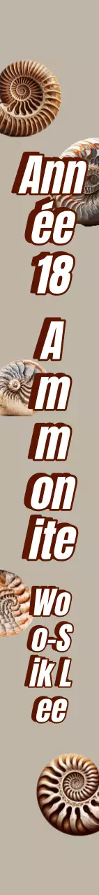 Écharpe de fin d'études en fossiles d'ammonite