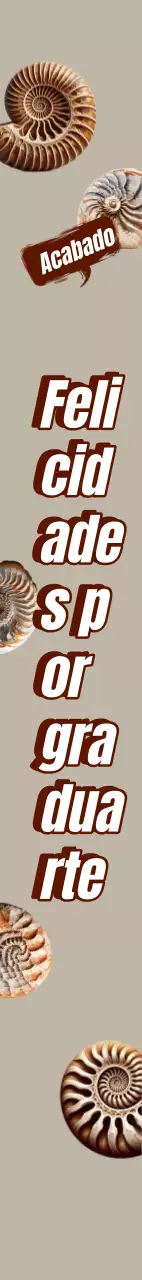 Fajín de graduación fósil de amonita