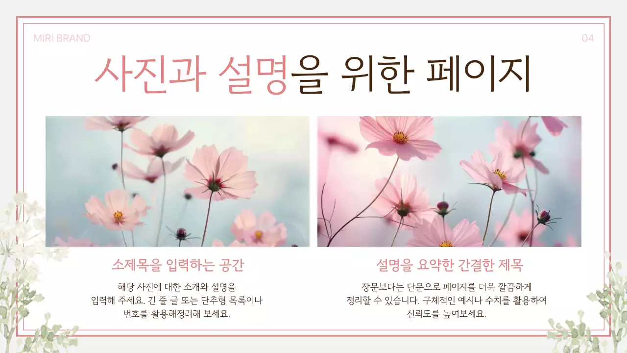 핑크와 회색의 깔끔한 가을 코스모스 프레젠테이션 게시글