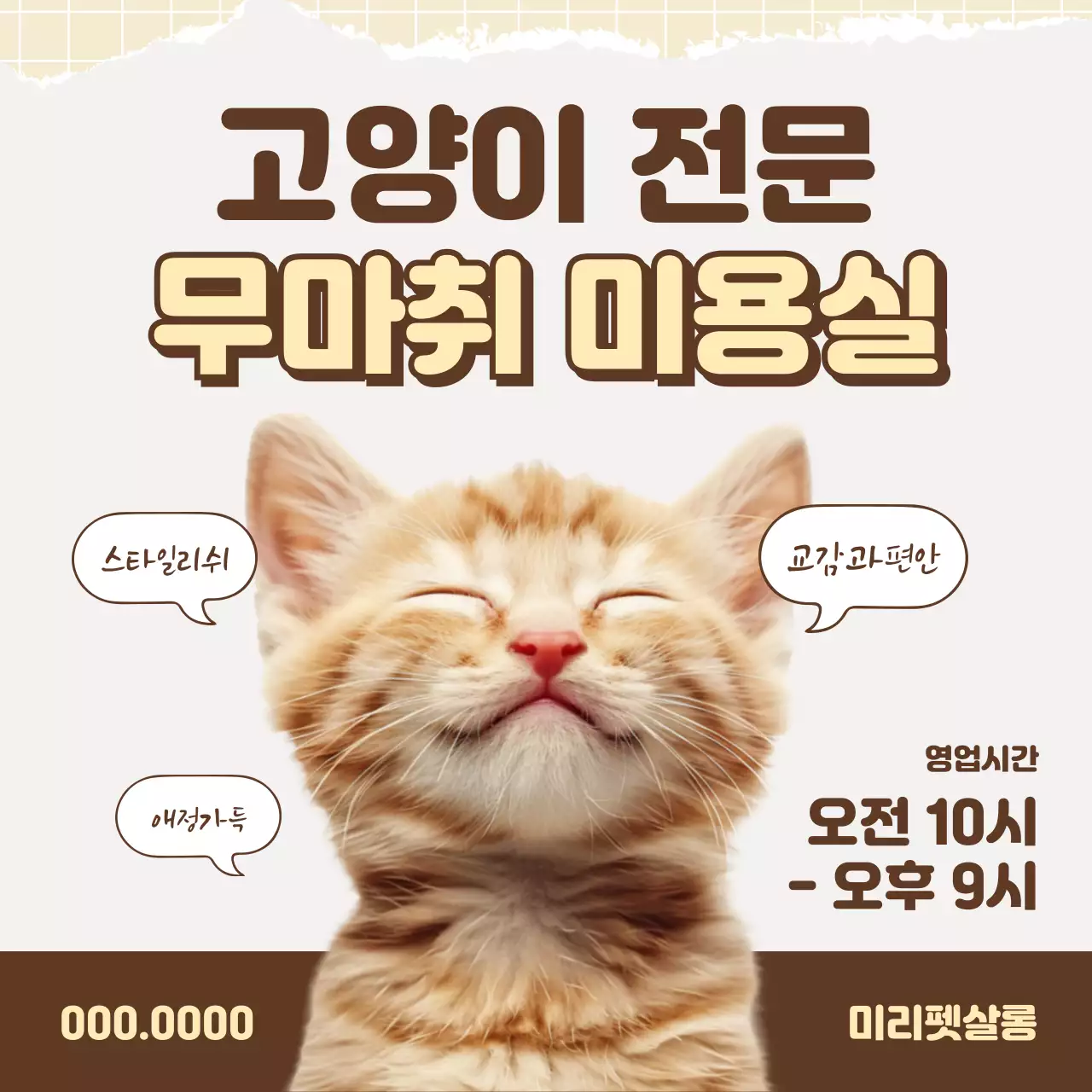 갈색과 베이지색의 팝아트적인 고양이 전문 무마취 미용실 광고