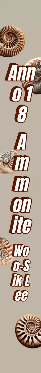 Fascia di laurea in fossili di ammonite