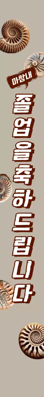 암모나이트 화석 졸업축하 어깨띠