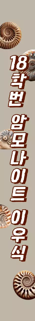 암모나이트 화석 졸업축하 어깨띠