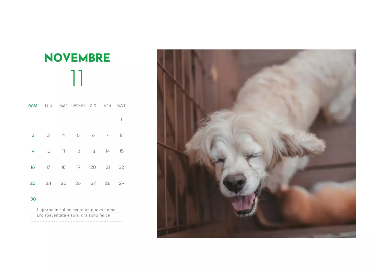 Un calendario con la foto di un cucciolo e un simpatico messaggio in colore verde.