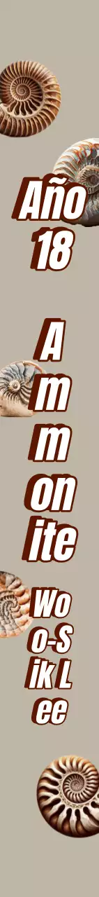 Fajín de graduación fósil de amonita