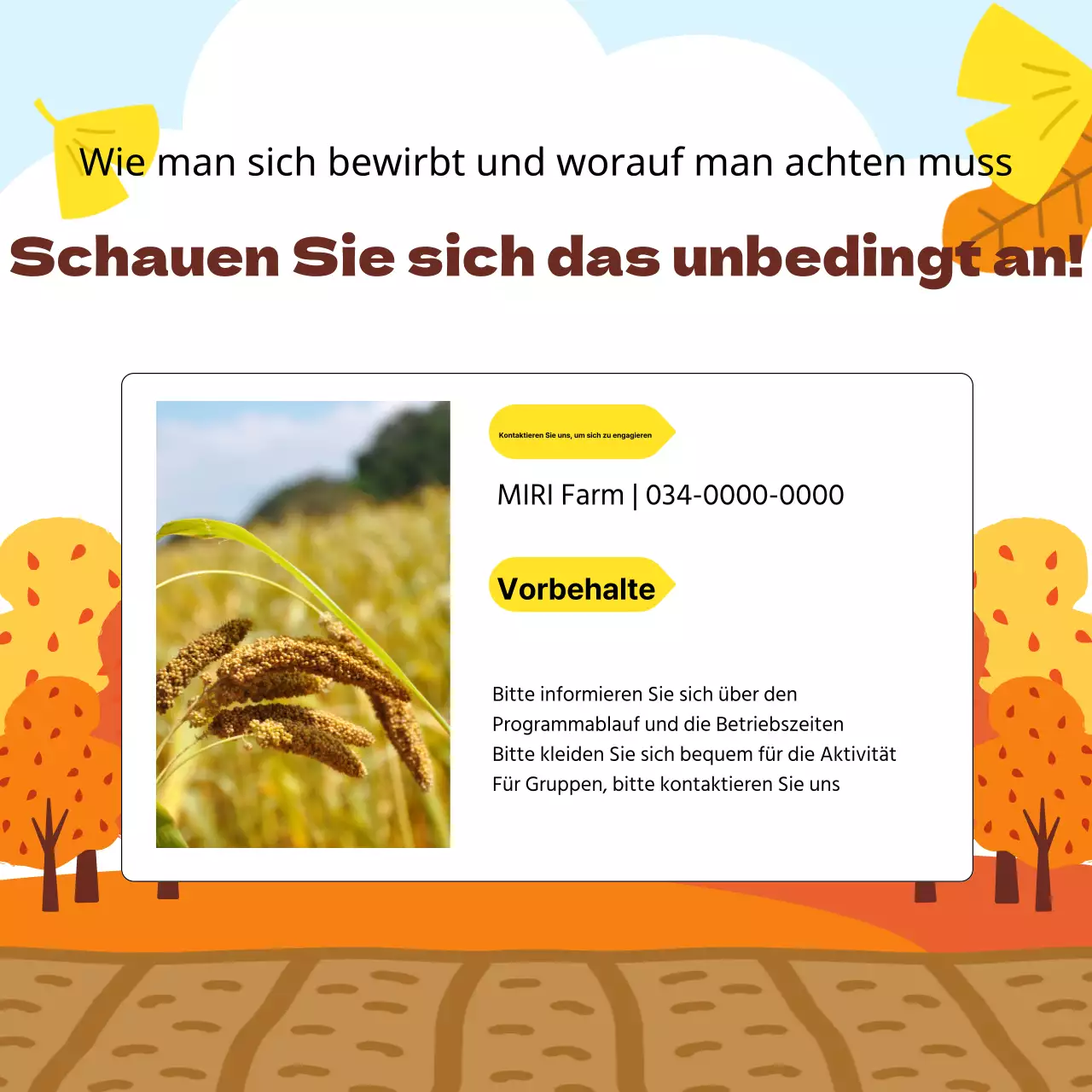 Orange Herbst Erfahrung Roundup