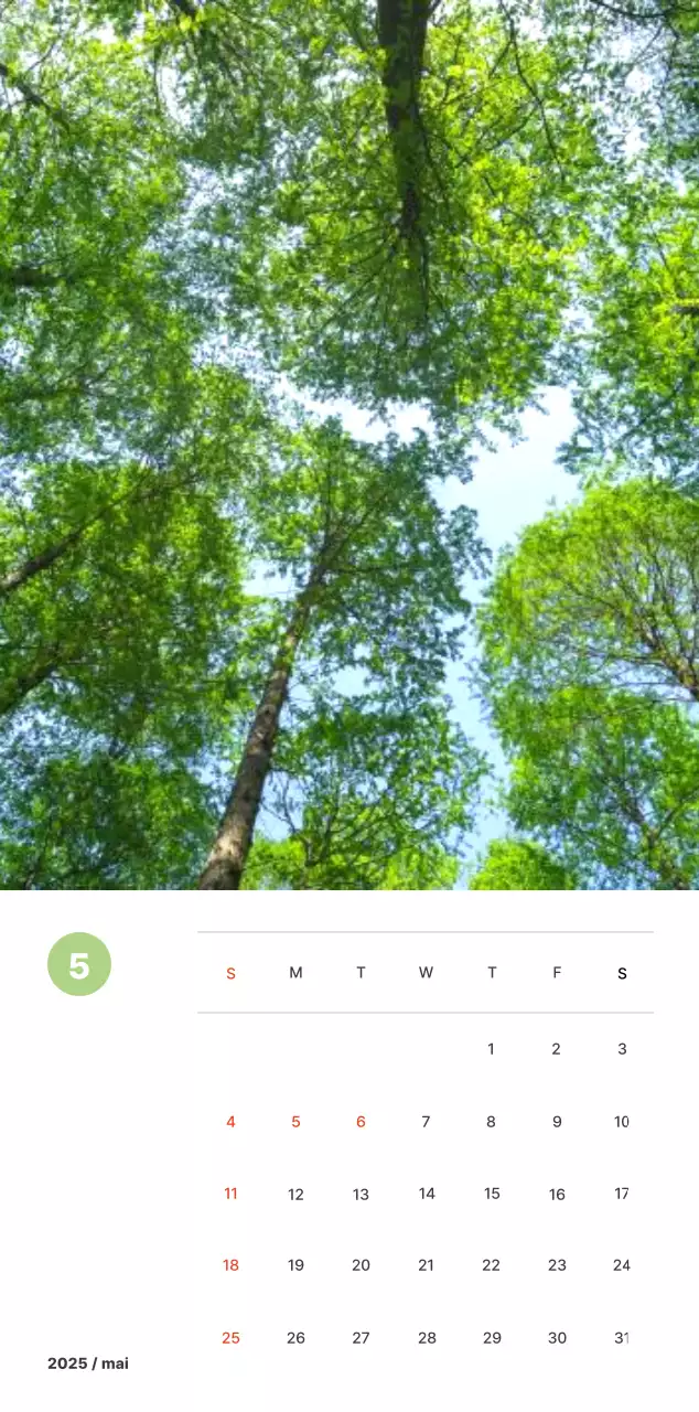 Photographie de paysages chaleureux aux couleurs pastel